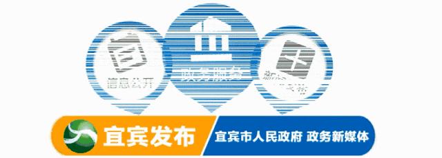 宜宾改革开放40年变化,改革开放四十年宜宾的变化