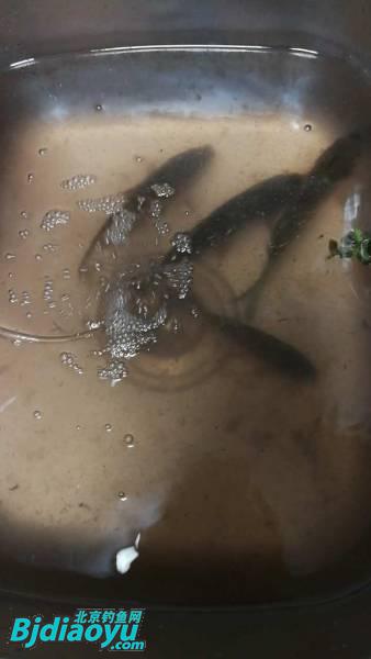 钓鱼也要讲究生活必须惬意,钓鱼需要保持哪些心态