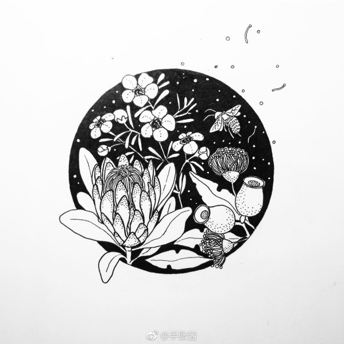 一组好看的插画风景图,清晰100张绝美插画