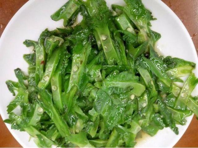 梦旅人海阳,梦旅人旅行