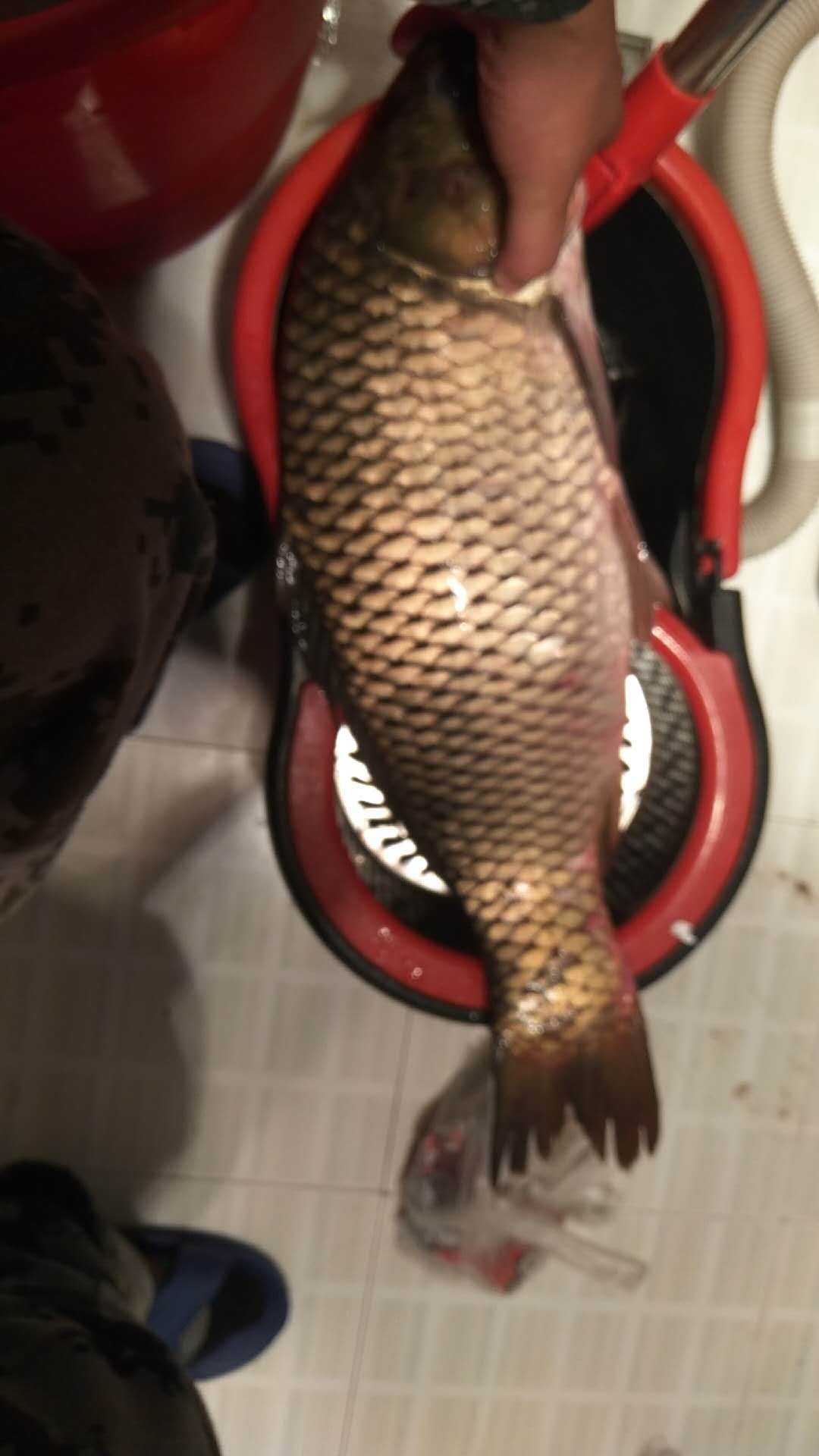 海竿不用浮漂怎么定点抛投,海竿打窝器定点最佳方法