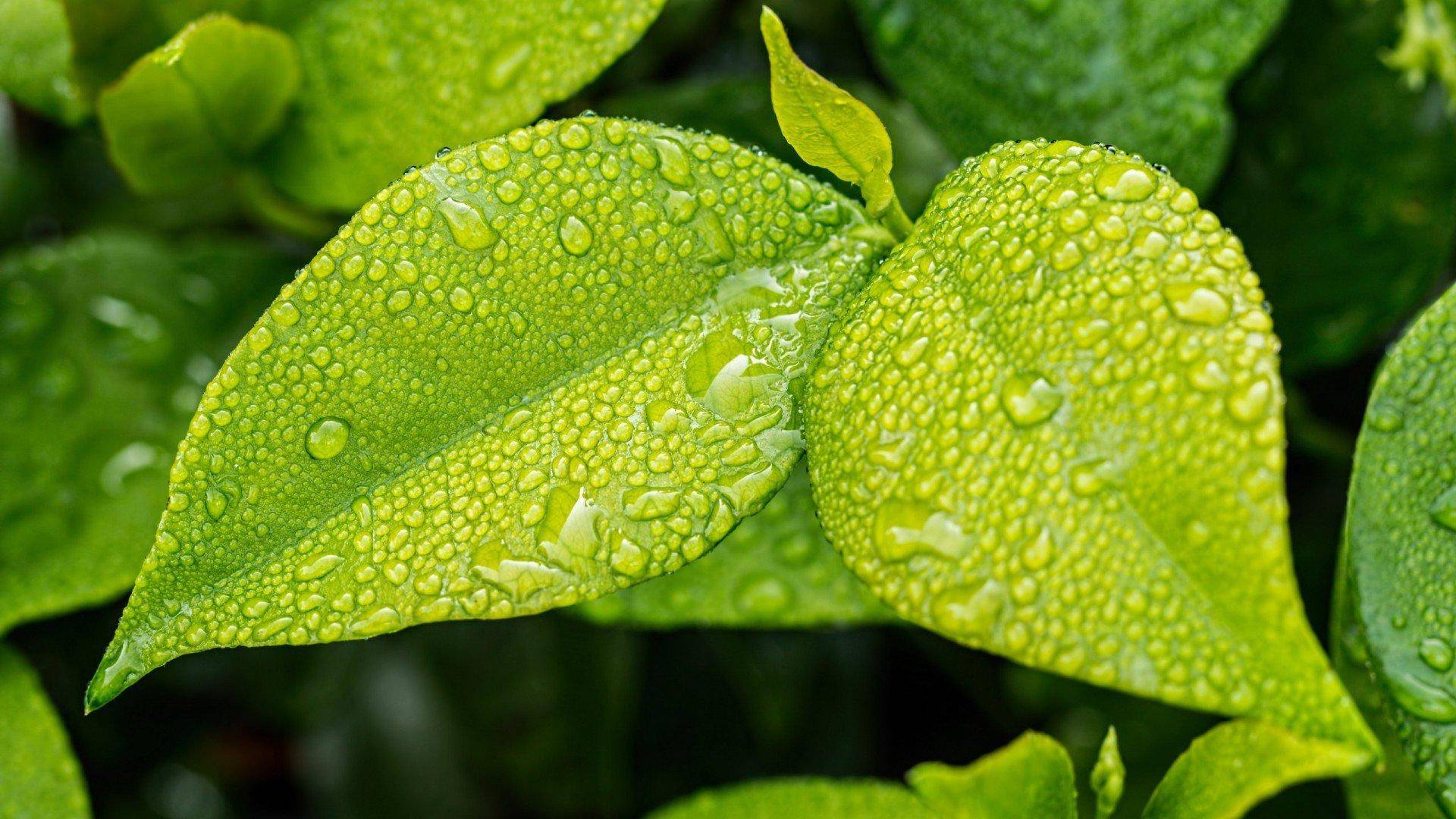 优派vp27804k显示器怎样,优派显示器vx-2880评测