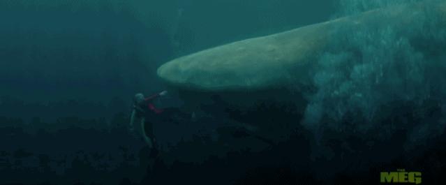 国产电影保护月,今年国产电影保护月