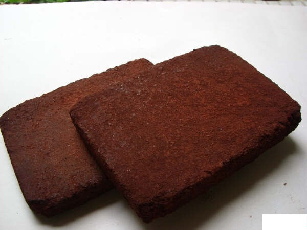 中药龙血竭用法用量,中药龙血竭图片