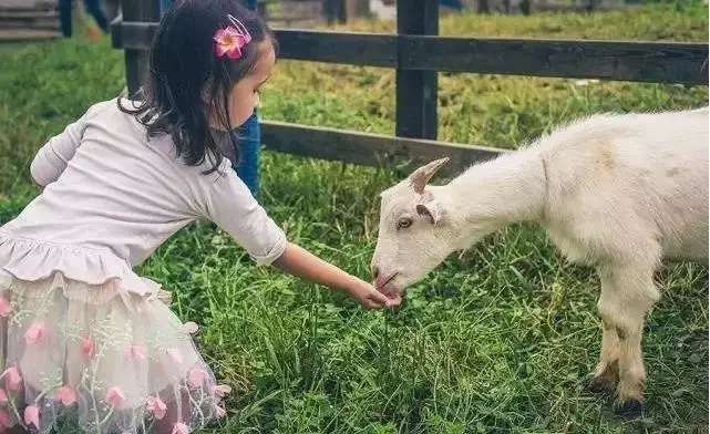 5年打造世外桃源,无锡惠山区阳山镇田园东方