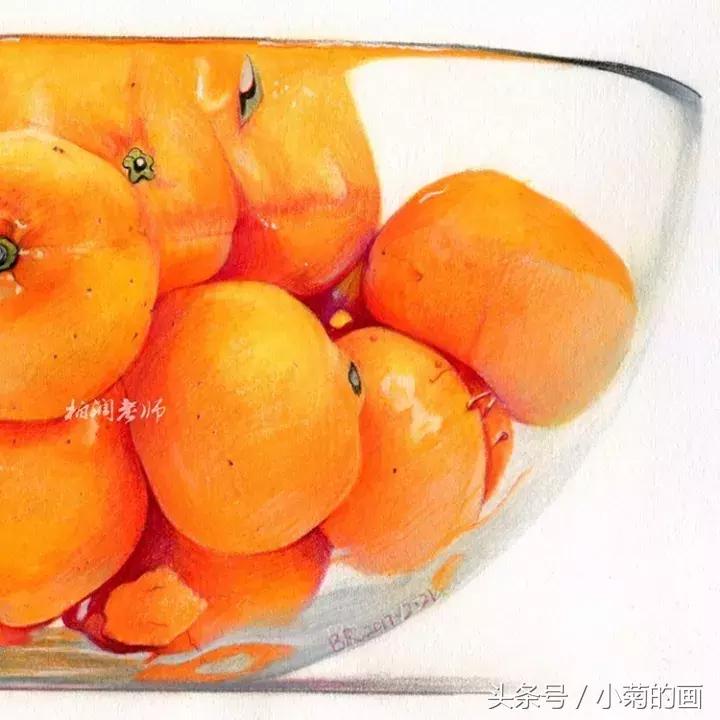 彩铅素描都是用的哪种彩铅,零基础学彩铅要先学会素描吗