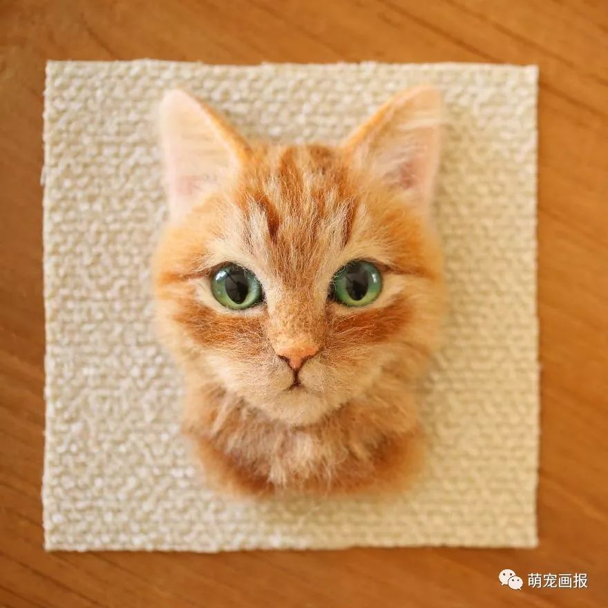 日本手工羊毛毡猫,日本巨型3d猫有多逼真