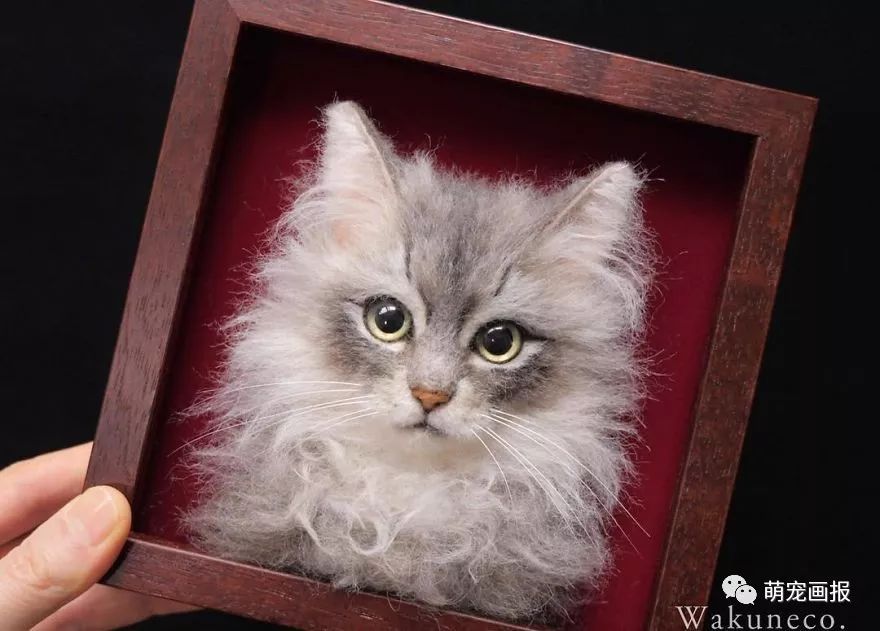 日本手工羊毛毡猫,日本巨型3d猫有多逼真