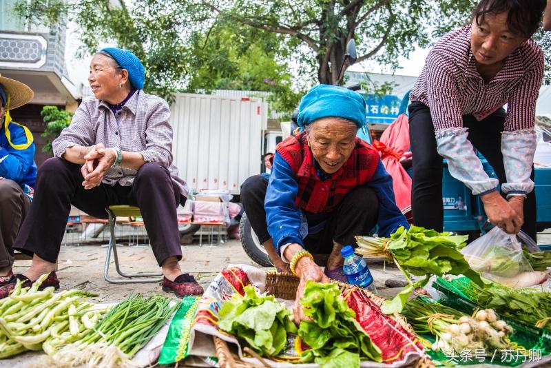 洱海治理周边民宿污染,洱海治污计划腾退部分客栈