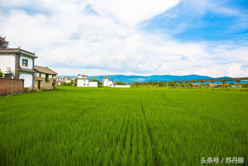 洱海治理周边民宿污染,洱海治污计划腾退部分客栈