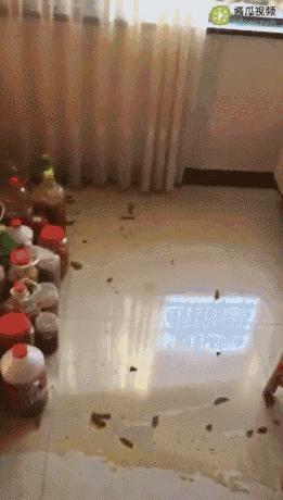 妈妈做酵素成瘾,妈妈做了好多酵素