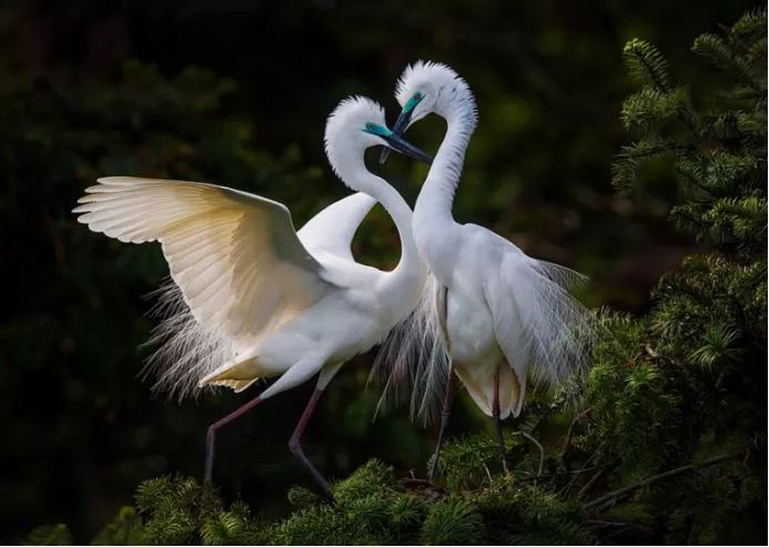 《自然之美》,自然之美摄影大赛