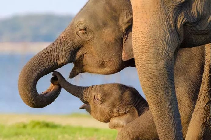 《自然之美》,自然之美摄影大赛