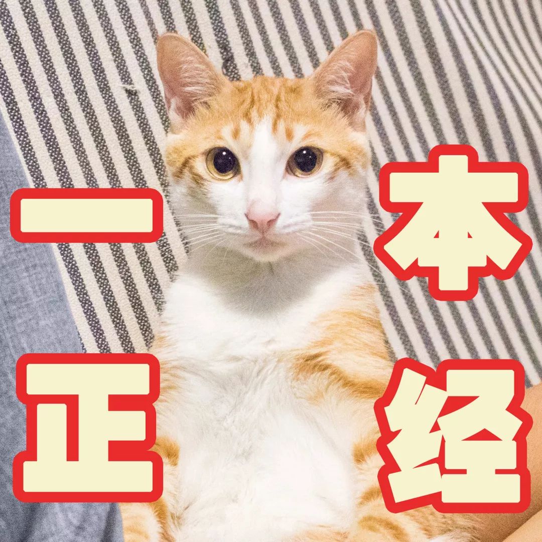 女生健身屁股大腿粗,腿粗屁股大怎么才好看