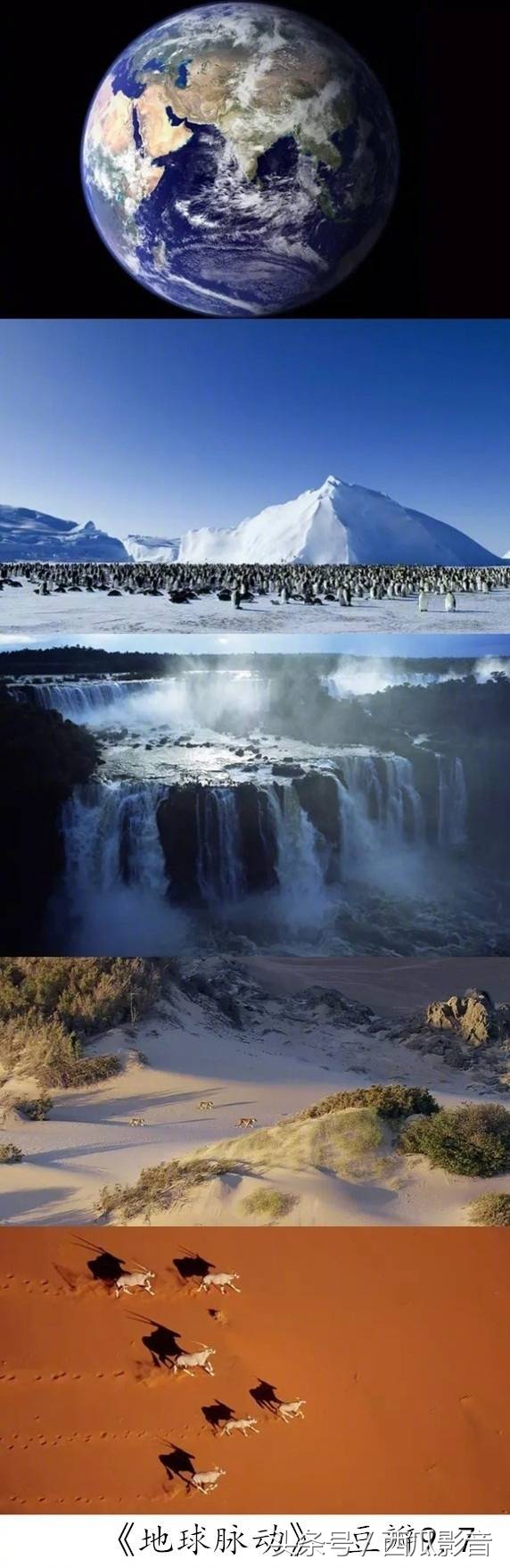 bbc史上最美纪录片,bbc纪录片美到窒息