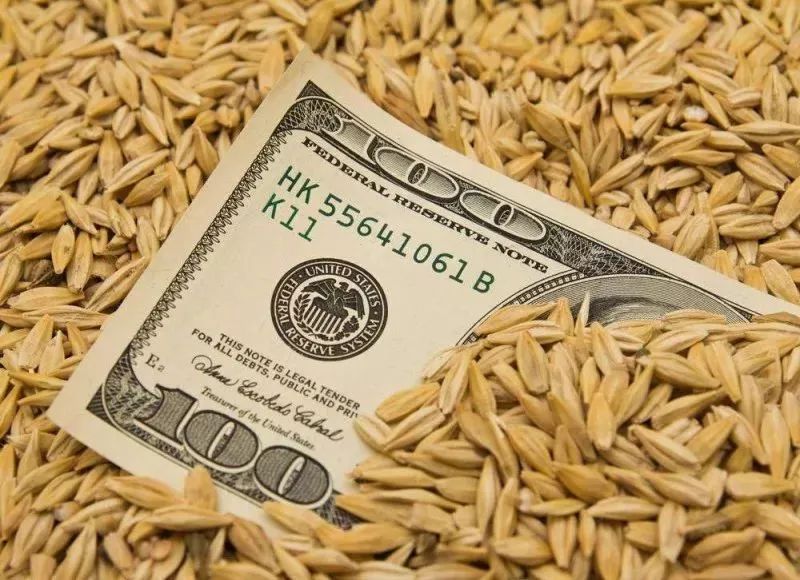 粮食银行有什么特征,粮食银行是否涉嫌非法集资