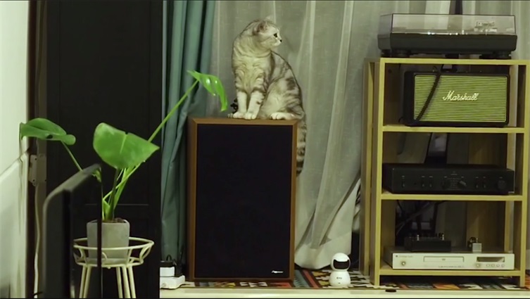 乔安智能高清摄像头双镜头测评,乔安智能摄像头推荐哪款好