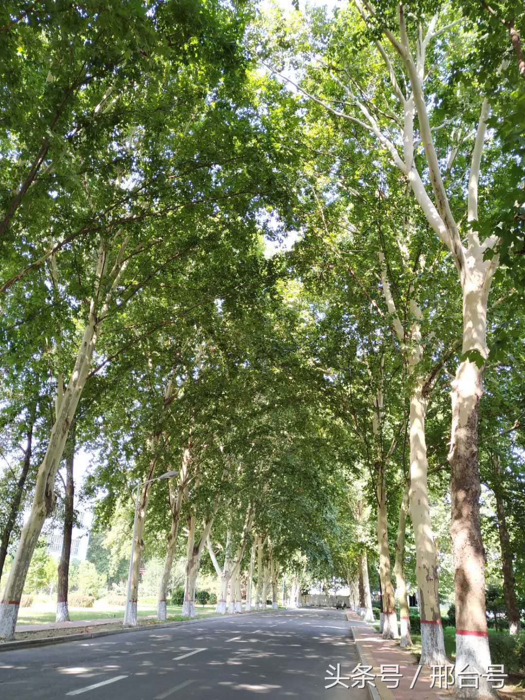 冶金厂六十年的记忆情怀！