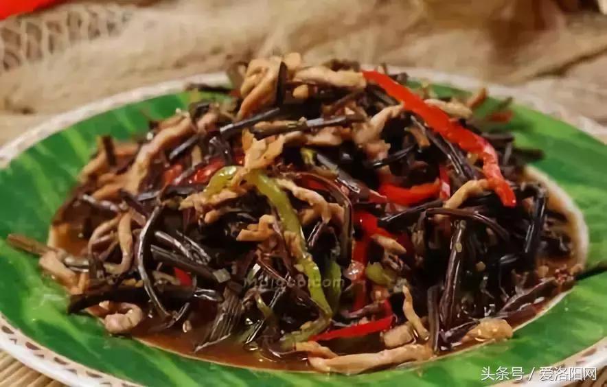 嵩县免费遛娃好去处,假期免费溜娃地方