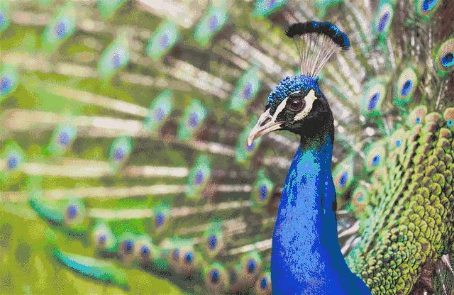 嵩县免费遛娃好去处,假期免费溜娃地方