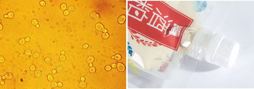 断货半年，抢都抢不到！荣登Cosme榜首，用完肌肤嫩到爆