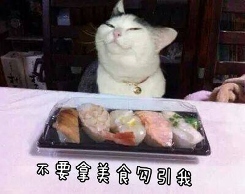 荣耀v9和荣耀10对比,荣耀10和荣耀v9