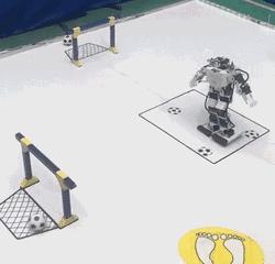 快乐暑假实践营,快乐暑期活动启动