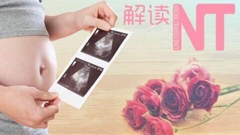 孕期nt检查是从什么时候开始有的,孕期nt检查主要是检查些什么呢