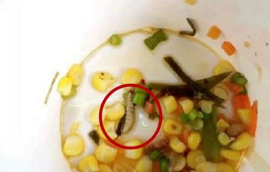 学校食堂奇葩料理,学校食堂奇葩菜月饼