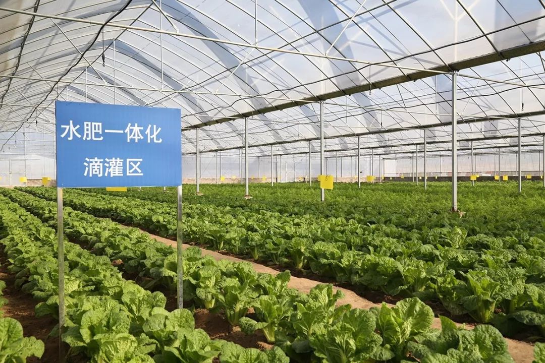 国家对智慧农业的最新政策,智慧农业政策汇总