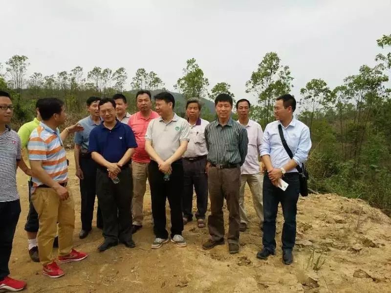 15岁考上中山大学，30岁晋升教授在玉林，许多景区都与这位牛人有关