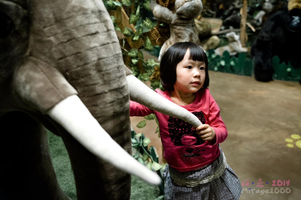 泰迪熊博物馆济州岛拍照攻略,济州岛假泰迪熊博物馆