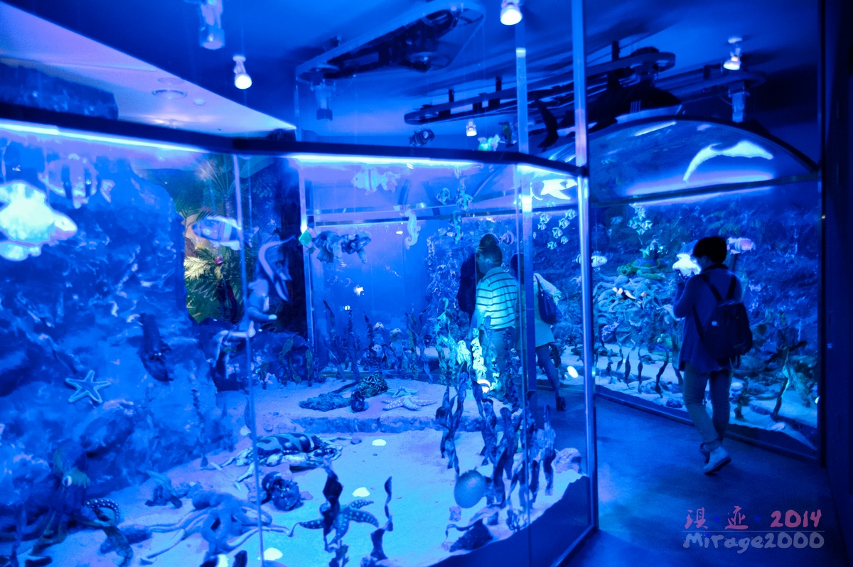 泰迪熊博物馆济州岛拍照攻略,济州岛假泰迪熊博物馆