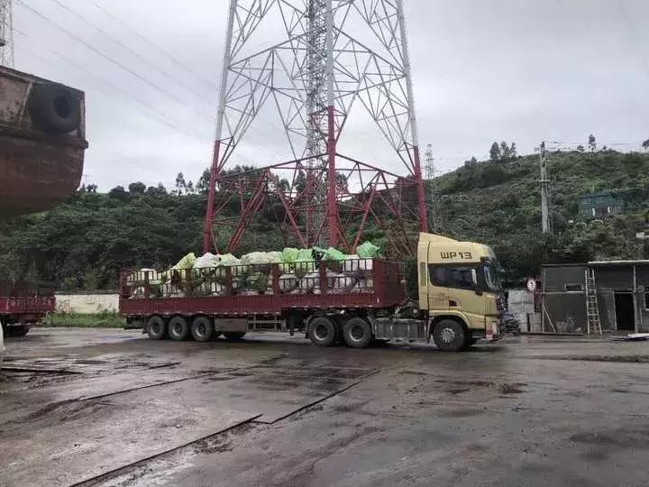 恶心！数百吨韩国人扔掉的旧衣服在浙江被截！你淘来的名牌货，可能暗藏各种细菌