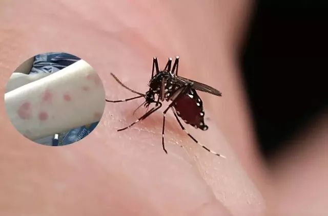 淘宝有哪些让你醍醐灌顶的好物,淘宝品质好物推荐是不是真的