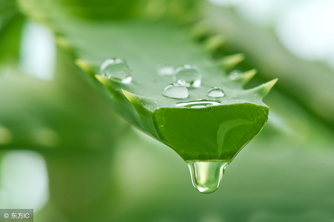 皮肤晒后泛红怎么修复,太阳晒后脸上发红痒