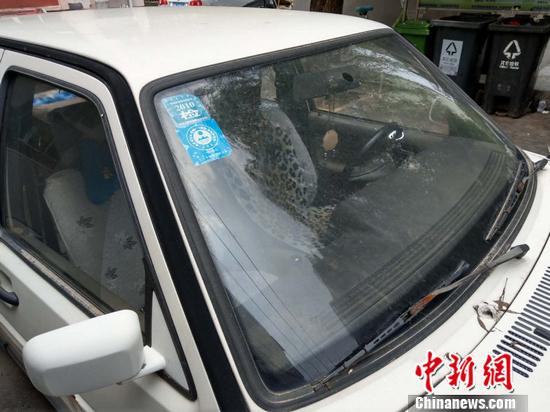 城市僵尸车解决办法,僵尸车占用公共资源怎么处理