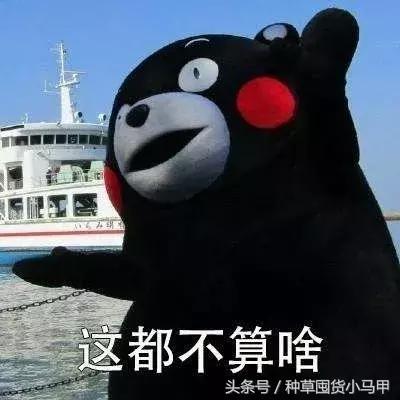 比nars便宜一半的粉底液,比nars还便宜的化妆品牌