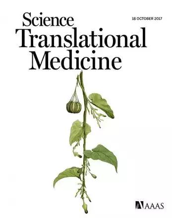 为什么外国人可以接受鱼腥草,外国人有多抗拒鱼腥草