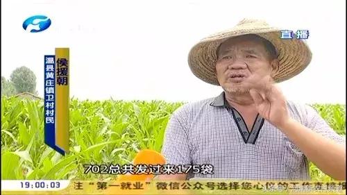 315曝光假玉米,315打假的玉米种子