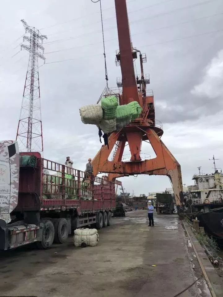 恶心！你淘来的名牌货，可能暗藏各种细菌