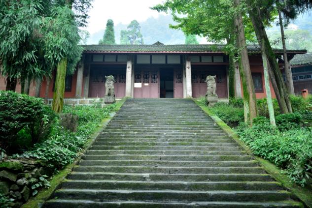 怎么给大熊猫和小熊猫取名,150秒看懂大熊猫起名那些事儿