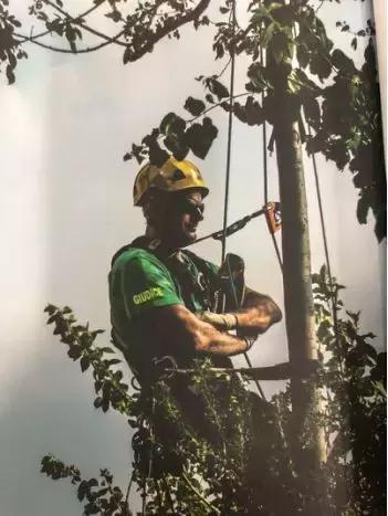 得了吧！除了瞎嚷嚷，你根本不懂什么是城市森林花园