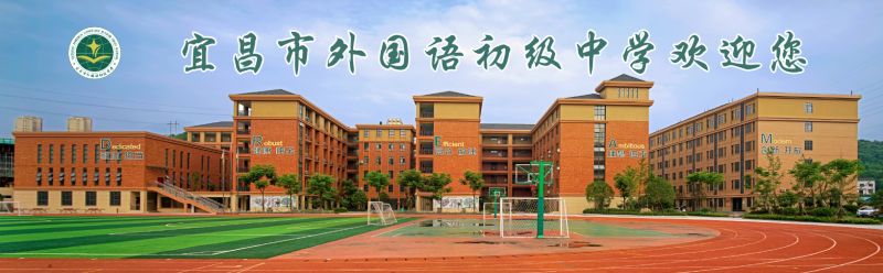 伍家岗排名前十的小学,快看金湾这所学校入选省级称号
