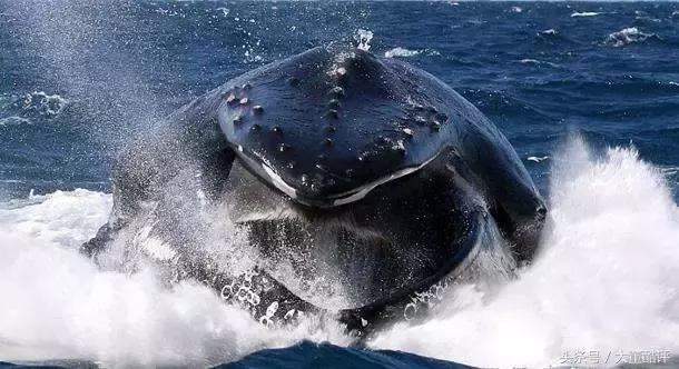 房企转型做康养,房企转型康养地产