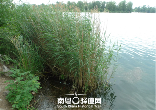 维也纳之都,广州花都维也纳