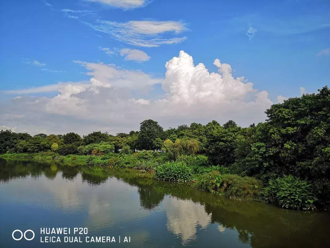 华为p20拍照效果怎么样,手机拍照不够锐