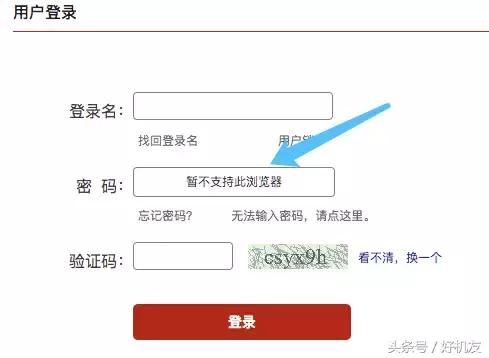 失信被执行人小孩上小学有标准吗,失信记录会不会纳入孩子学籍