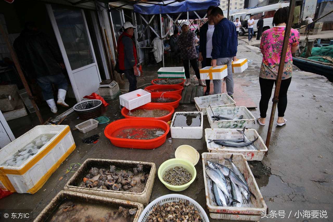 大连下午去哪里玩最合适,大连游玩几天够