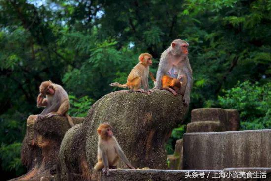 盘点十个江浙沪漂流玩水胜地,江浙附近哪个漂流最好玩